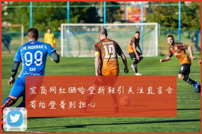 宝岛网红晒哈登新鞋引关注直言会寄给登哥别担心