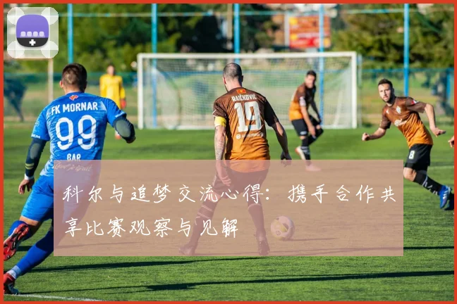 科尔与追梦交流心得：携手合作共享比赛观察与见解