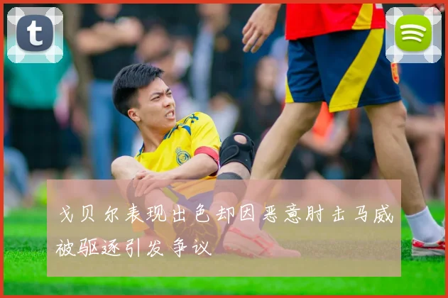 戈贝尔表现出色却因恶意肘击马威被驱逐引发争议
