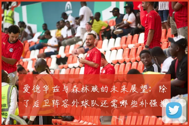 爱德华兹与森林狼的未来展望：除了后卫阵容外球队还需哪些补强措施