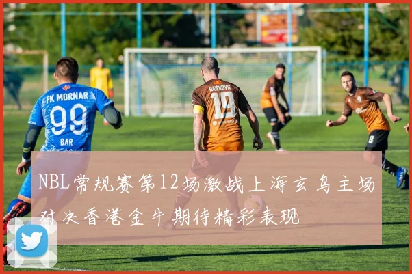 NBL常规赛第12场激战上海玄鸟主场对决香港金牛期待精彩表现