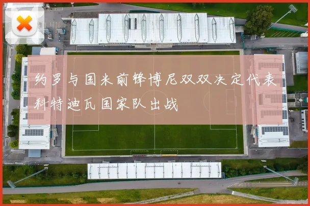 约罗与国米前锋博尼双双决定代表科特迪瓦国家队出战