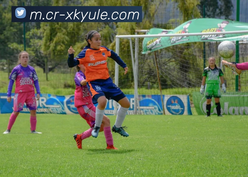 星空娱乐服务体系